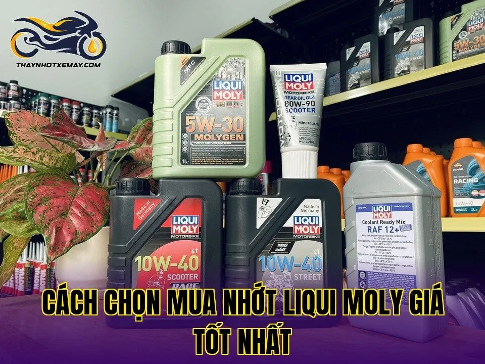 Cách chọn mua nhớt Liqui Moly giá tốt nhất