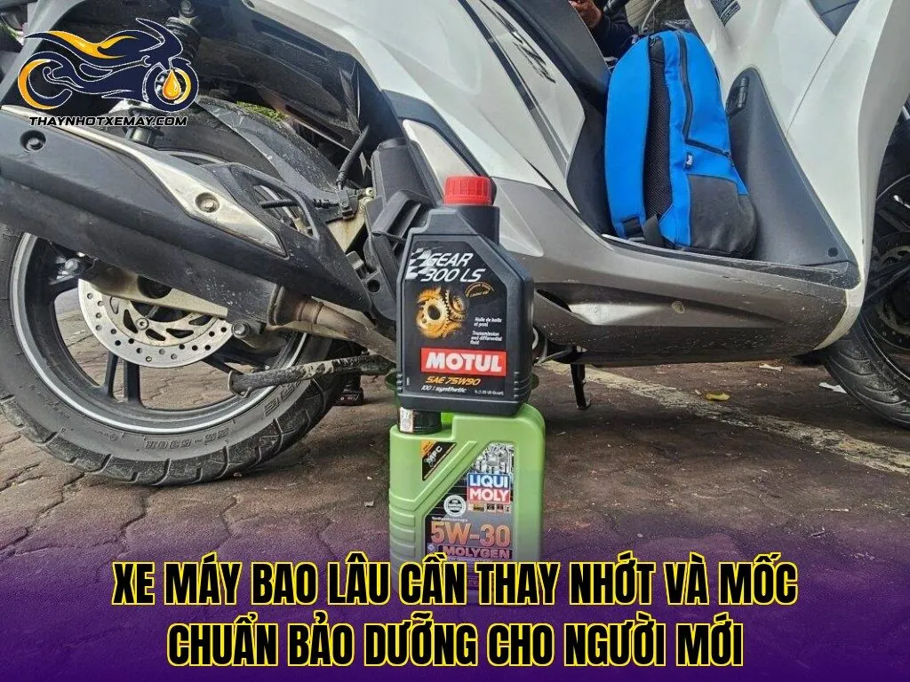 Xe máy bao lâu cần thay nhớt và mốc chuẩn bảo dưỡng cho người mới