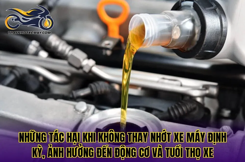 Những tác hại khi không thay nhớt xe máy định kỳ, ảnh hưởng đến động cơ và tuổi thọ xe