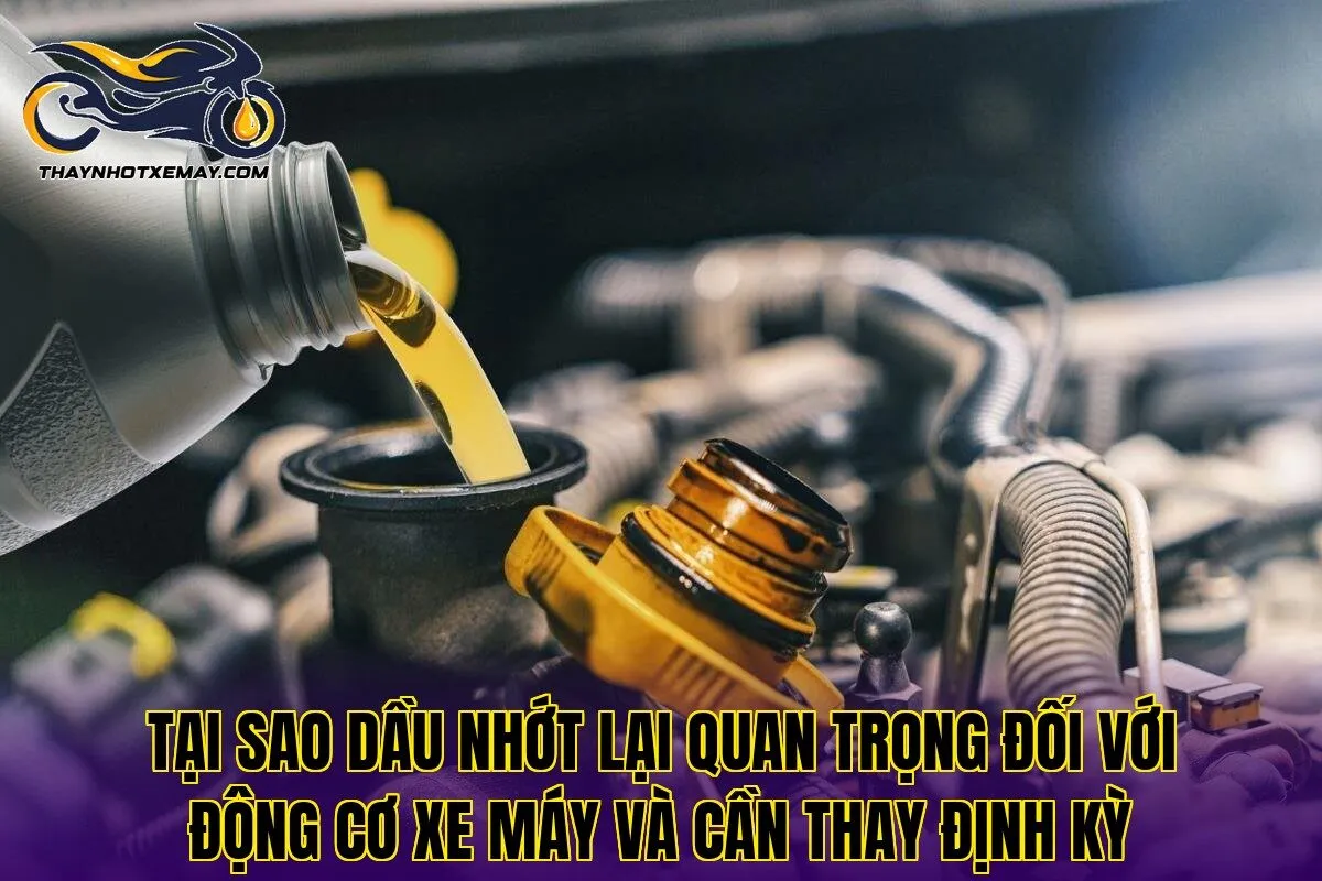 Tại sao dầu nhớt lại quan trọng đối với động cơ xe máy và cần thay định kỳ